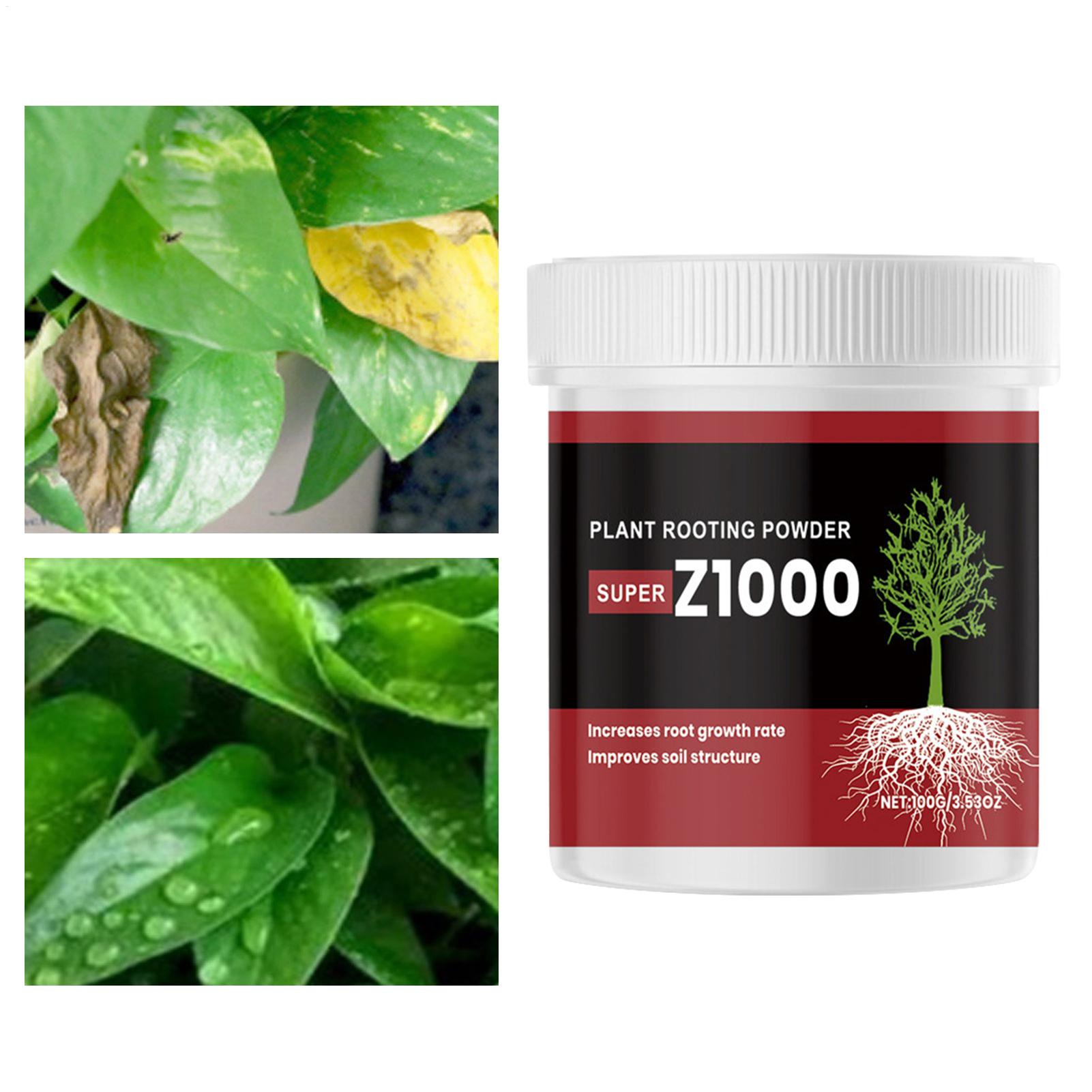 Wortelstimulerend poeder voor  - Root Stimulator Liquid recensie en prijs