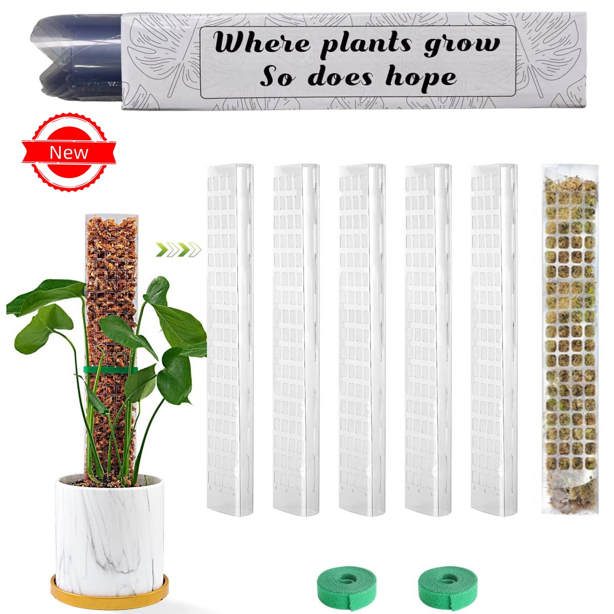 Planten Mospaal Tuin Onderwerp - Sphagnum Moss Dry recensie en prijs