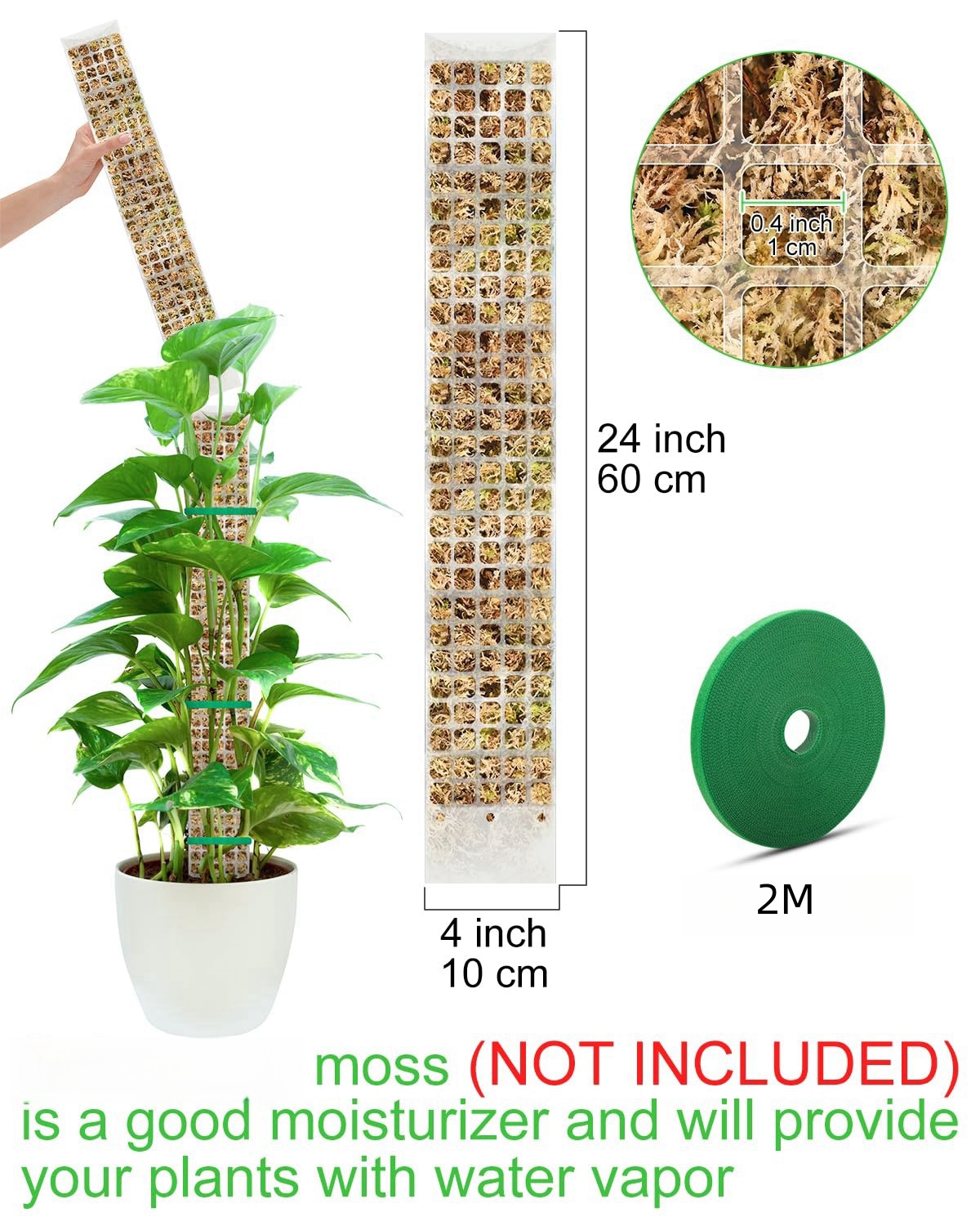 Planten Mospaal Tuin Onderwerp - Sphagnum Moss Dry recensie en prijs